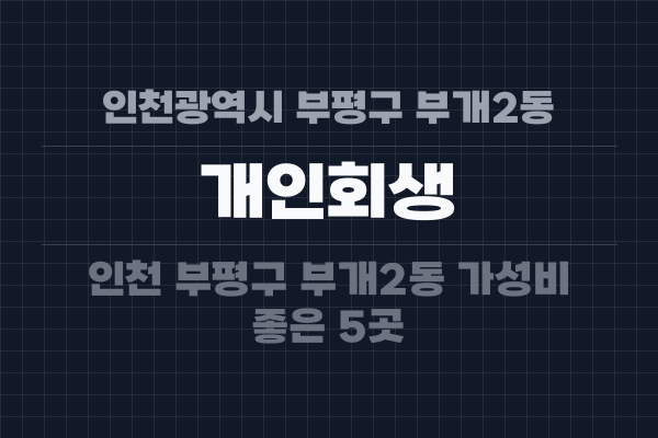 인천광역시 부평구 부개2동 개인회생