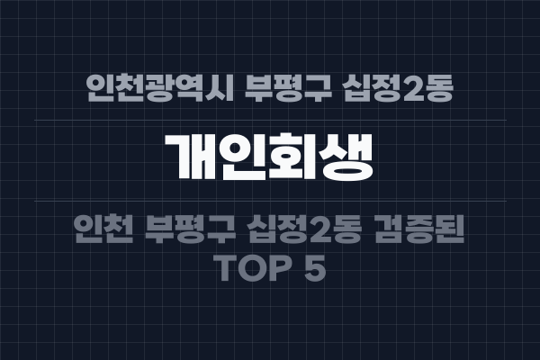 인천광역시 부평구 십정2동 개인회생