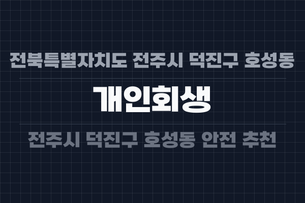 전북특별자치도 전주시 덕진구 호성동 개인회생